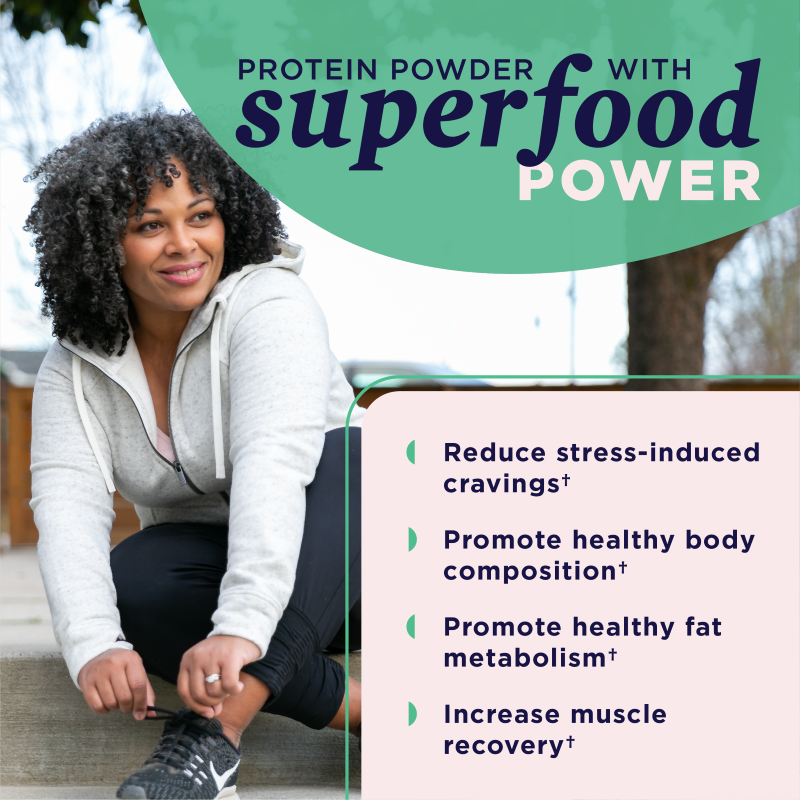 Ancient Nutrition - Plant Protein - Chocolate -12 serving