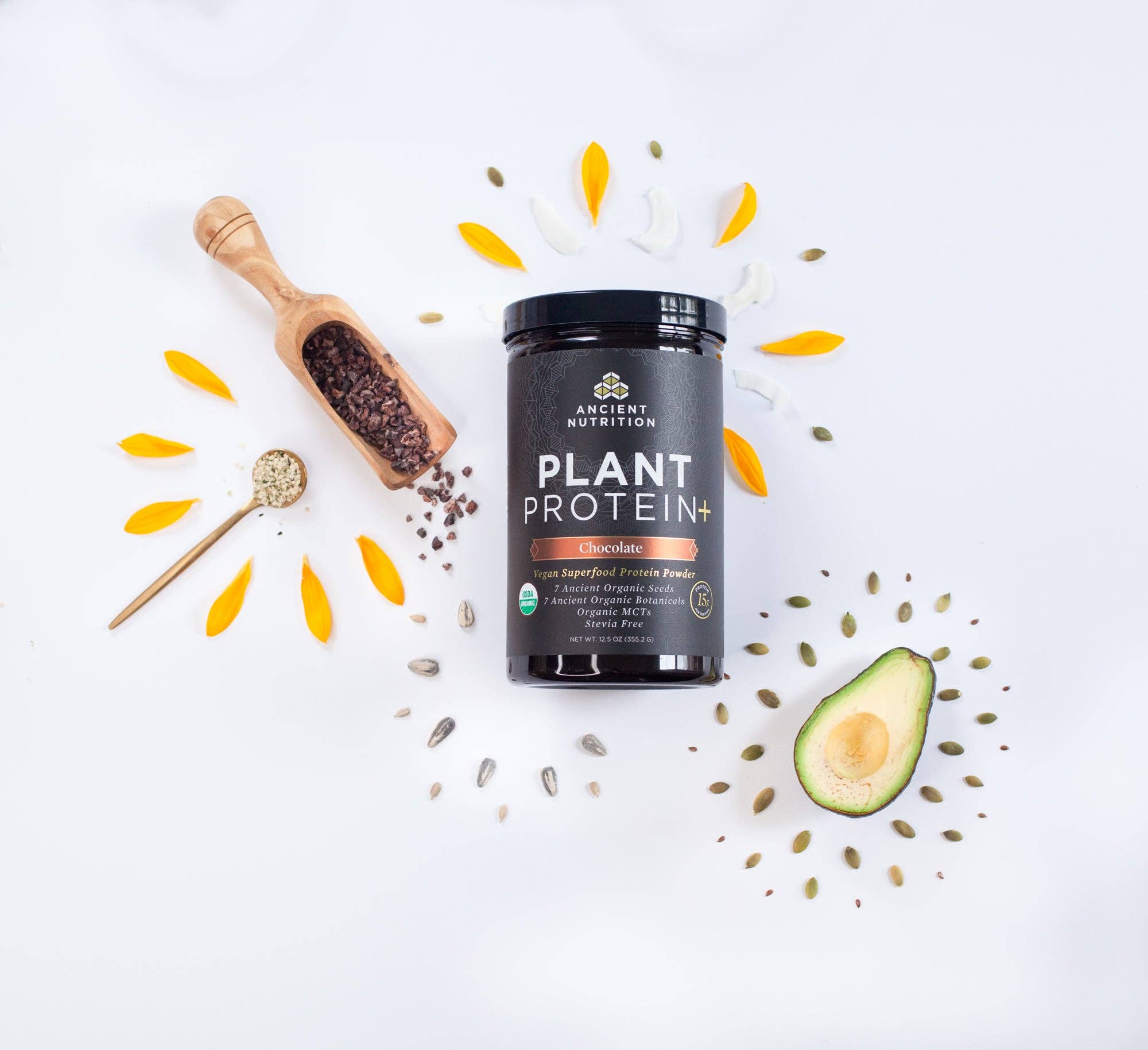 Ancient Nutrition - Plant Protein - Chocolate -12 serving