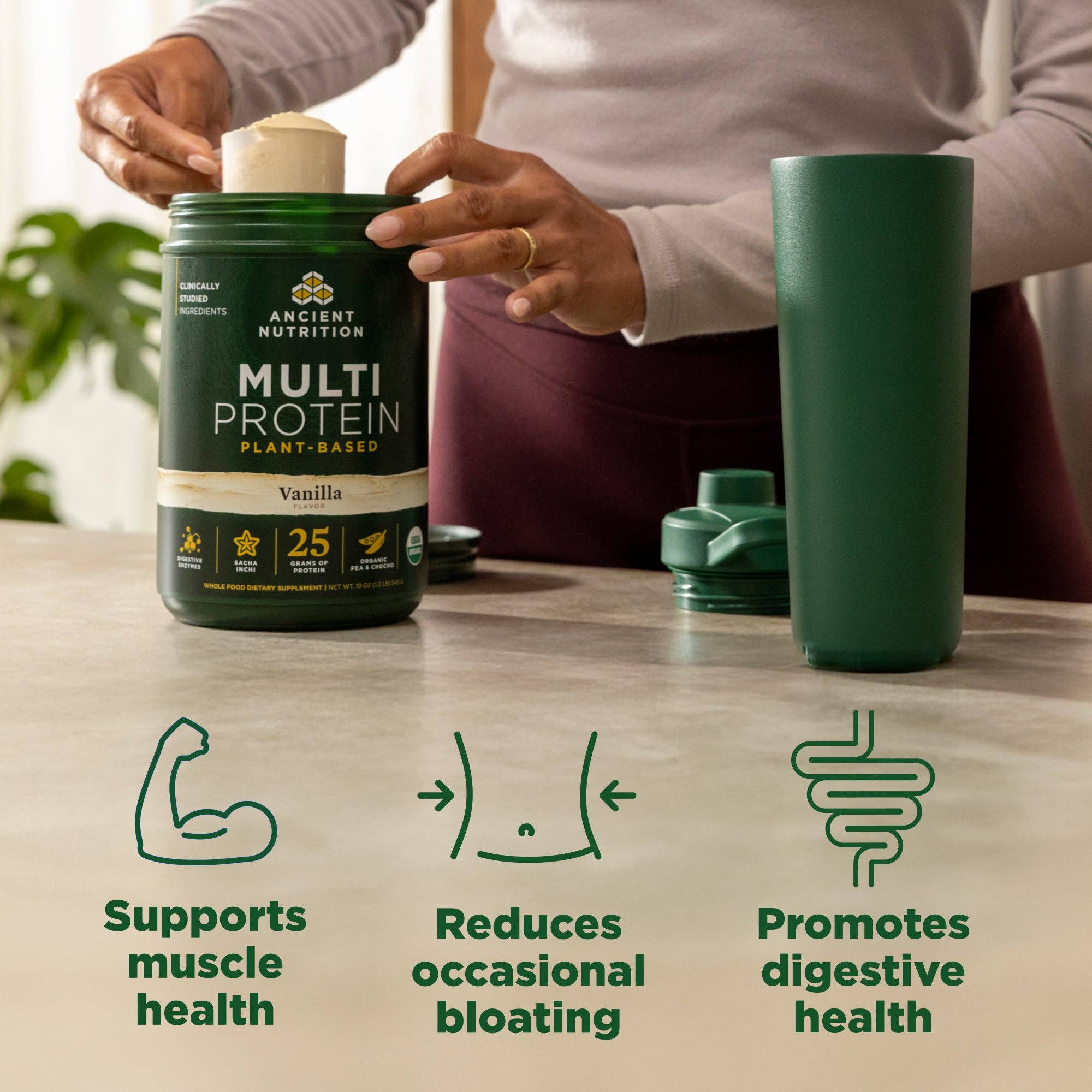 Multi Protein Plant Based | Powder Vanilla (15 Servings)